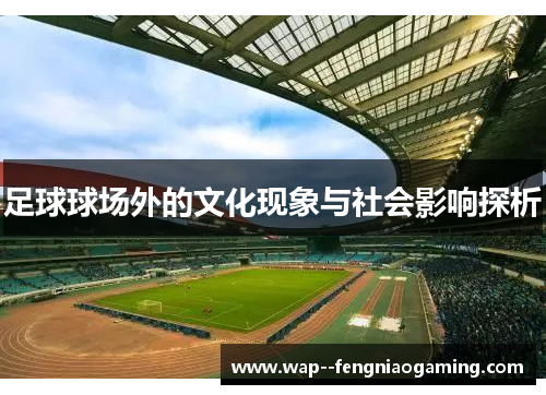 足球球场外的文化现象与社会影响探析