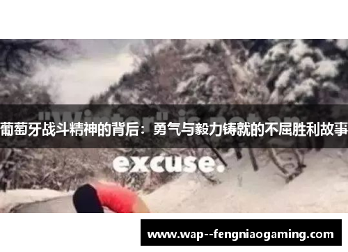 葡萄牙战斗精神的背后：勇气与毅力铸就的不屈胜利故事