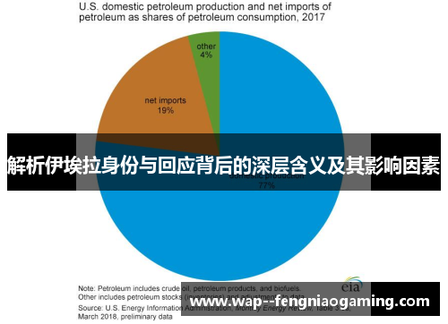 解析伊埃拉身份与回应背后的深层含义及其影响因素