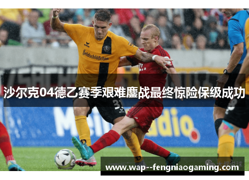 沙尔克04德乙赛季艰难鏖战最终惊险保级成功