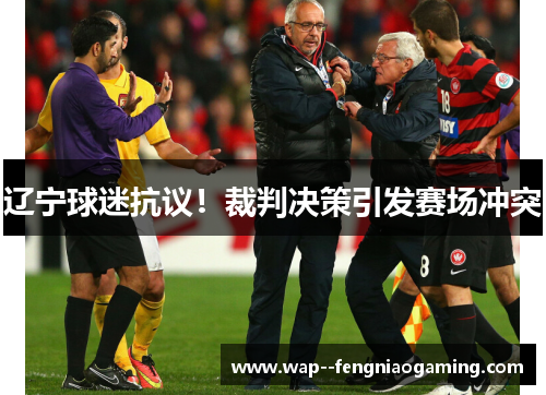 辽宁球迷抗议！裁判决策引发赛场冲突