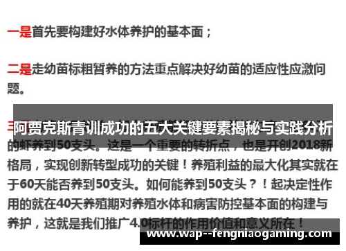 阿贾克斯青训成功的五大关键要素揭秘与实践分析
