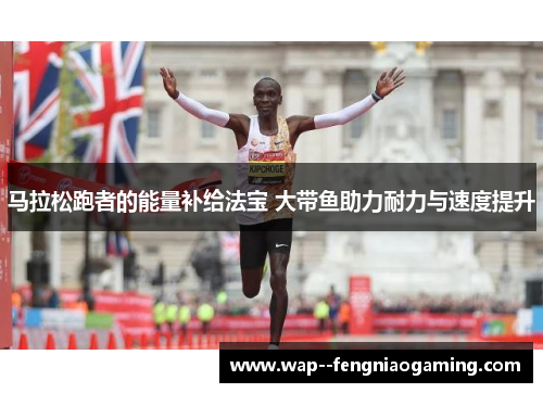 马拉松跑者的能量补给法宝 大带鱼助力耐力与速度提升