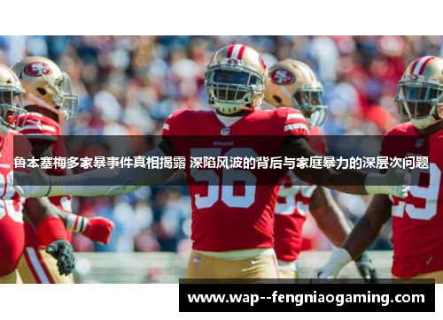 鲁本塞梅多家暴事件真相揭露 深陷风波的背后与家庭暴力的深层次问题
