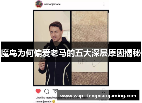 魔鸟为何偏爱老马的五大深层原因揭秘