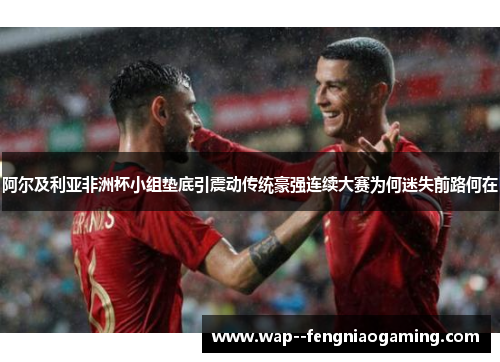 阿尔及利亚非洲杯小组垫底引震动传统豪强连续大赛为何迷失前路何在