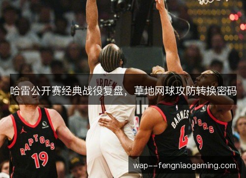 哈雷公开赛经典战役复盘，草地网球攻防转换密码