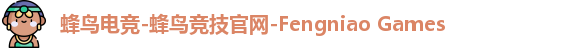 蜂鸟电竞公司